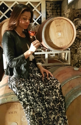 Ma che bel castello...tra le vigne